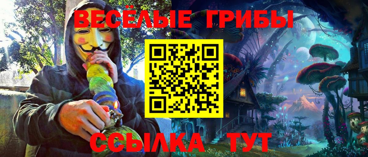 Галлюциногенные грибы Cubensis  Вход с VPN  Новочеркасск 
