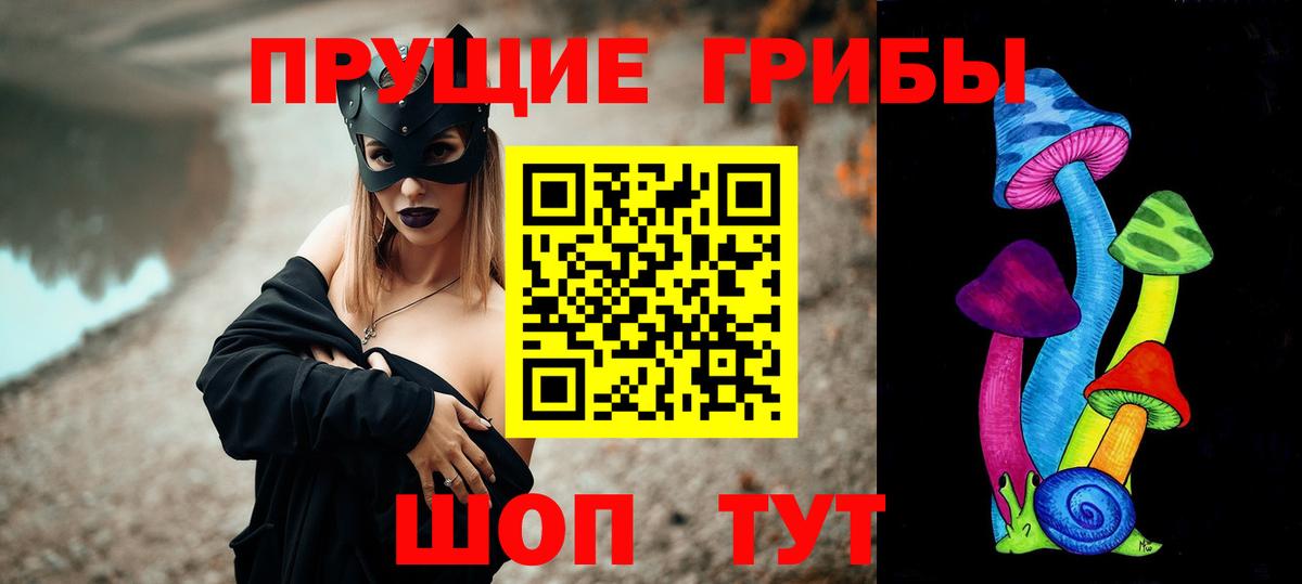 Галлюциногенные грибы прущие грибы Новочеркасск
